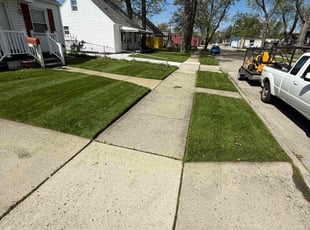 Dillon G.'s lawn care services service result
