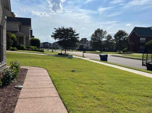 Pj M.'s yard maintenance service result