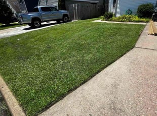 Linda C.'s lawn maintenance service result