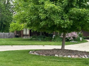 Susan N.'s turf care service result