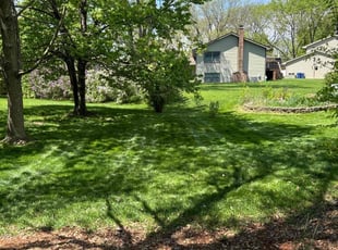 Aruna w.'s grass maintenance service result