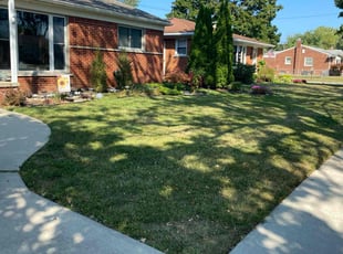 Cynthia R.'s lawn care service result