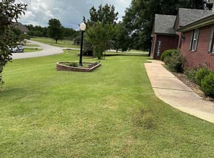 Don M.'s lawn service service result