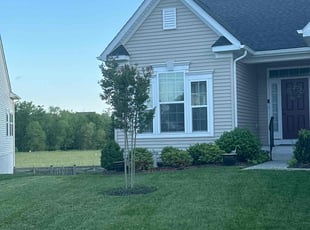 Alesha W.'s lawn care services service result