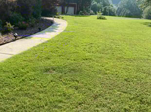 Nate J.'s turf maintenance service result