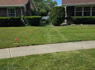 Jacob T.'s grass maintenance service result