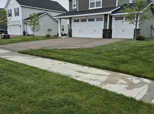 Mike H.'s yard maintenance service result