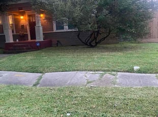 Joshua K.'s lawn service service result