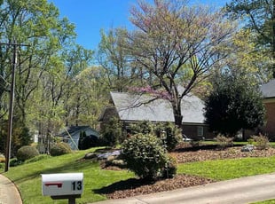 Yoko I.'s lawn care services service result
