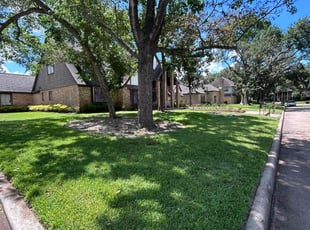 Janice S.'s turf care service result