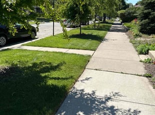 Maartje V.'s grass maintenance service result