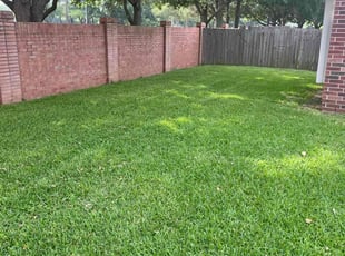 Gilson J.'s lawn care service result