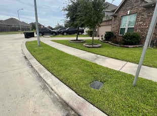 Judy P.'s lawn service service result