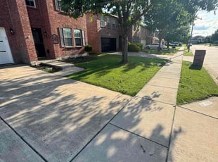 Courtney B.'s grass maintenance service result