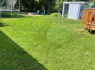 Aaron D.'s grass cutting service result