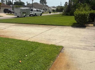 Anthony B.'s grass cutting service result