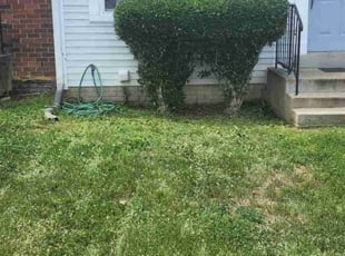 Gabriel J.'s Bush Trimming service result