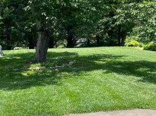 Ellen F.'s lawn service service result
