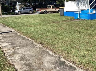 Verba W.'s lawn care service result