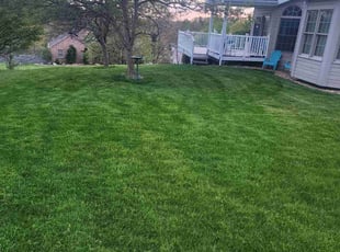 Bob S.'s gardening service service result