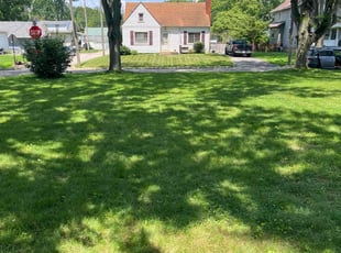 Olivia B.'s lawn care service result