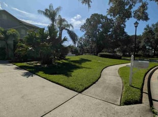 Heather H.'s turf care service result