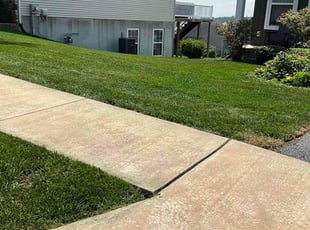 Carol W.'s grass cutting service result