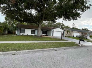 Mary J.'s lawn maintenance service result