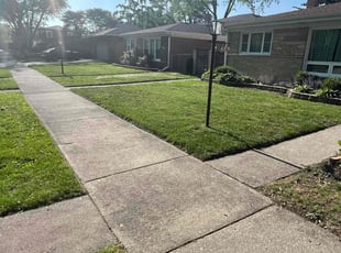 Stephanie R.'s turf care service result