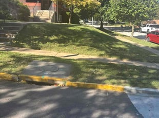 Deborah E.'s lawn care services service result