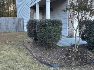 Grace K.'s Bush Trimming service result