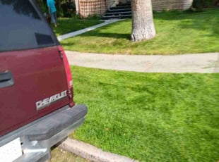 Alana T.'s grass cutting service result