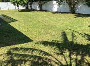 Bob L.'s turf care service result