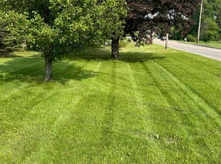 Jonnie S.'s lawn care services service result