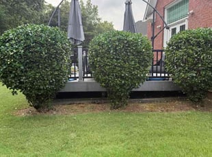 Jonathan H.'s Bush Trimming service result