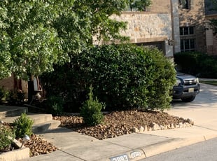 Janella R.'s Bush Trimming service result