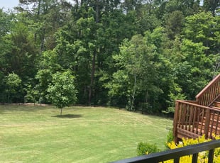 Steven W.'s grass maintenance service result