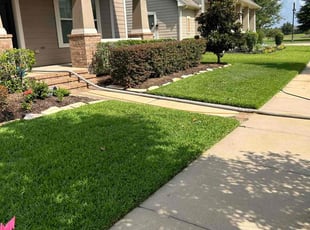 Luanne R.'s grass cutting service result