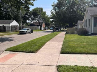 Wren S.'s lawn care service result