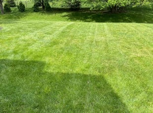 Ryan G.'s grass maintenance service result