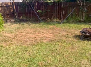 Kapil S.'s turf care service result