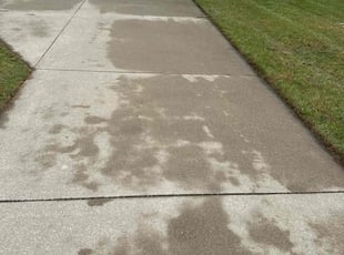 John H.'s lawn care service result