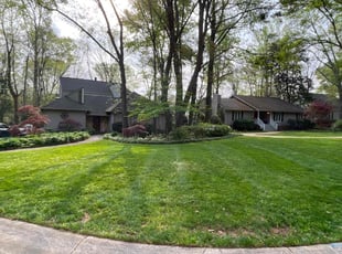 Ellen J.'s turf maintenance service result