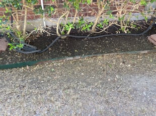 Wayne L.'s Leaf Removal service result