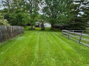 Sandra G.'s lawn service service result