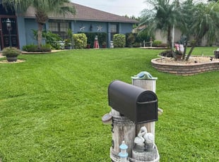 Brad W.'s turf care service result