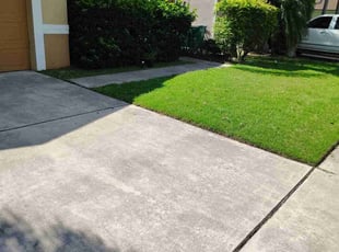 David R.'s grass cutting service result