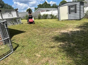 Santos L.'s lawn maintenance service result