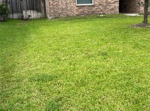 Brianna B.'s lawn maintenance service result
