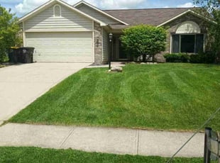 Willie T.'s lawn care services service result